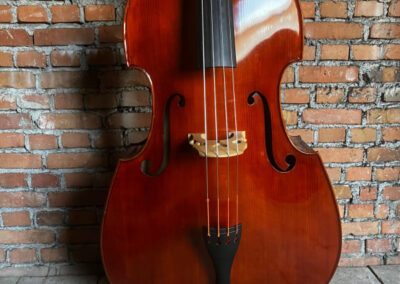 Schülerinstrument – Rumänien